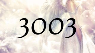 ３００３這個天使數字的意義為『與天界連結』