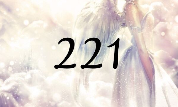 天使數字２２１的含義是『積極的選擇』