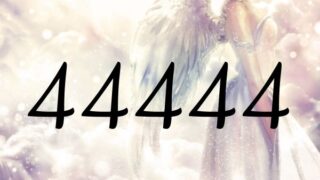 ４４４４４這個天使數字的意思為『天使們守護著』