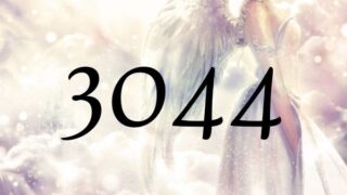 ３０４４這個天使數字的意義為『天界的人與您同在』