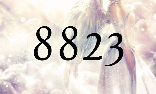 ８８２３的意思【關於天使數字８８２３所代表的意思】