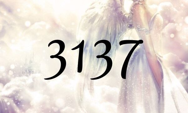 ３１３７這個天使數字的意義為『機會之門已經開啟』