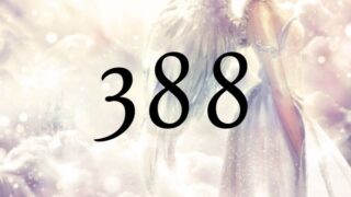 ３８８這個天使數字的意義為『達成豐碩』