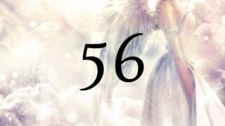 ５６這個天使數字的意思為『經由變化接受恩典』