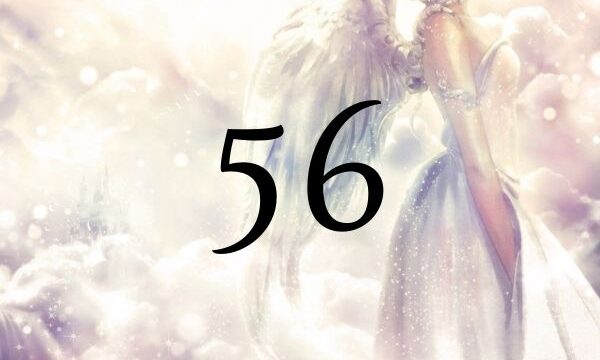 ５６這個天使數字的意思為『經由變化接受恩典』