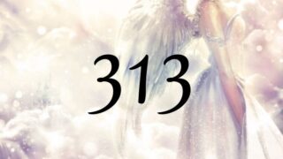３１３這個天使數字代表著『學習現實化的方法』