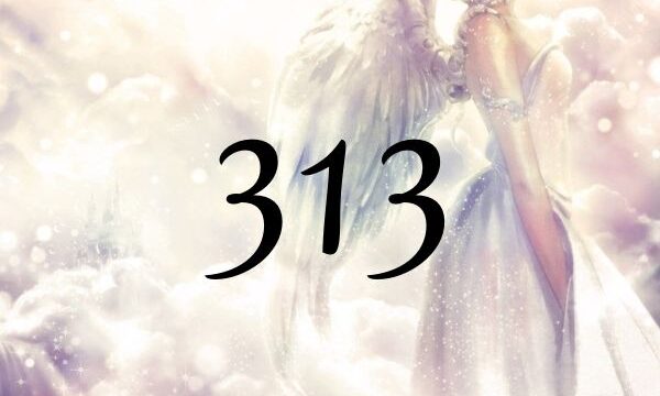 ３１３這個天使數字代表著『學習現實化的方法』