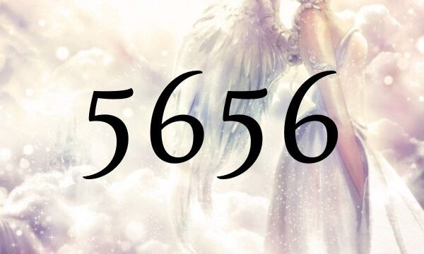 ５６５６的天使數字的意義是『對物質看法的變化』