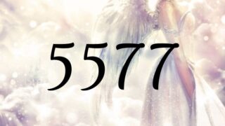 ５５７７的天使數字的意義是『改變的道路』
