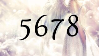 ５６７８的天使數字的意義是『豐碩及成功之路』