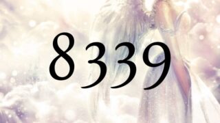 天使數字８３３９的意思是『可能性打開了』
