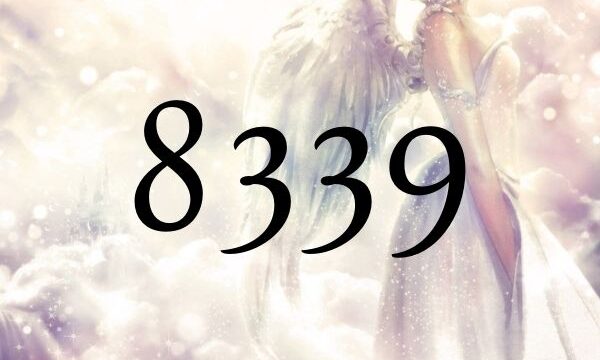 天使數字８３３９的意思是『可能性打開了』
