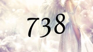 ７３８的天使數字意義為『往豐富的道路前進』
