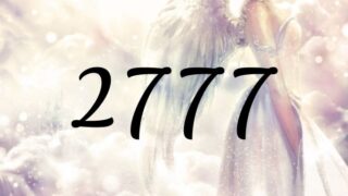 天使數字【2777】的含義是『您所走即正確的道路。請側耳傾聽上天的指引吧』