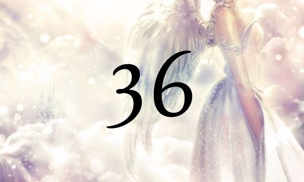 天使數字36的意義是『揚昇大師關於現實世界的建議』