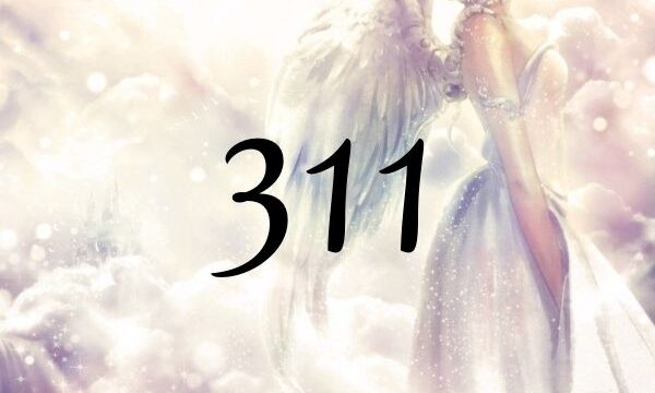 天使數字311的意義是『您的創造工作有大師們在協助』