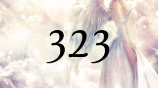 天使數字323的意義是『對大師們的信任將會加深您們之間的羈絆』