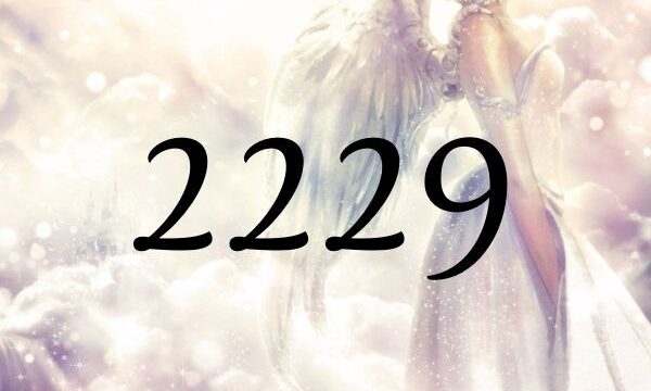 天使數字2229的意義是『無需恐懼未來，請遵從自己的內心』