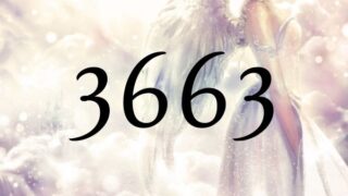 天使數字3663的含義是『大師們正在對您的祈禱進行回應。』