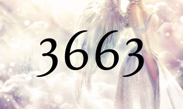 天使數字3663的含義是『大師們正在對您的祈禱進行回應。』