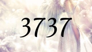 天使數字3737的意義是『您正走在正確的道路上』