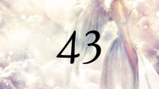 天使數字43的意義是『從精神層面獲得內心的平靜吧』