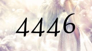 天使數字4446的意義是『沒有必要對未來擔心』