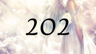 天使數字202的意義是『信仰的力量會讓一切變為可能』