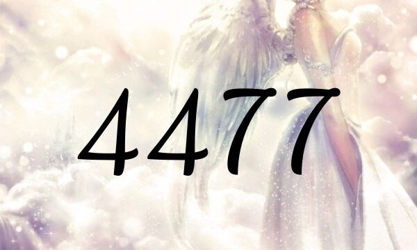 天使數字4477的意義是『您的事跡非常的了不起！請繼續像這樣前進吧』