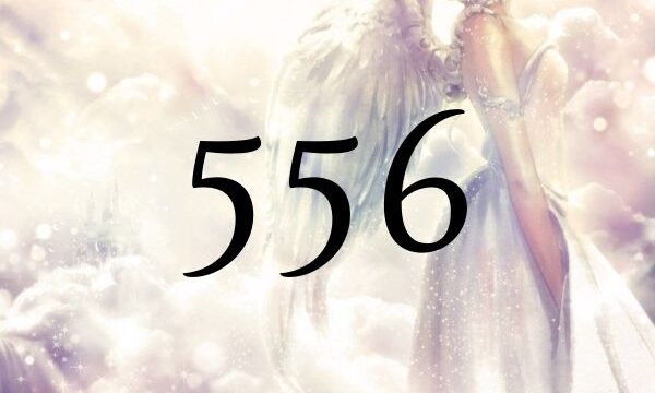 天使數字556的意義是『請抓住到訪而來的機遇吧』