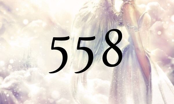 天使數字558的意義是『發生在您身上的變化將會帶來富足』