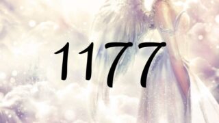 天使數字1177的意義是『你的願望正如同你的想像進行中』