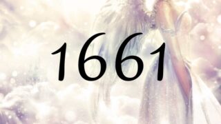 天使數字1661的意義是『請多感受你眼前的美好世界』