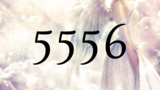 天使數字5556的意義是『物質方面的變化將會到來』