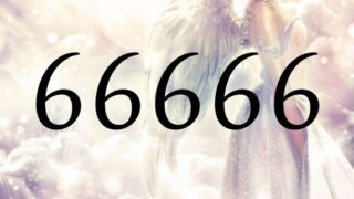 天使數字66666的意義是『請放下對物質方面的擔憂吧』