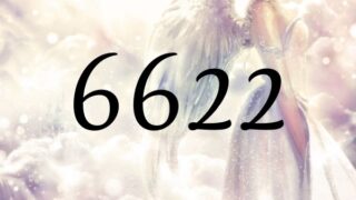天使數字6622的意義是『請相信一定會得到您所需要的』