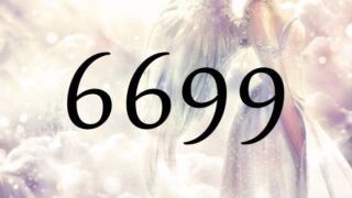 天使數字6699的意義是『請放下對生活的不安，集中精力在您的使命上面吧』