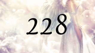 天使數字228的意義是『請不要猶豫地抓住一切機遇』