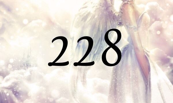 天使數字228的意義是『請不要猶豫地抓住一切機遇』