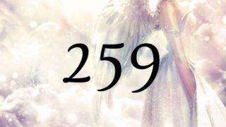 天使數字259的意義是『發生在您身上的變化，是對您到應去場所的指引』
