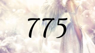 天使數字775的意義是『意圖主動引起變化的您真的非常棒』