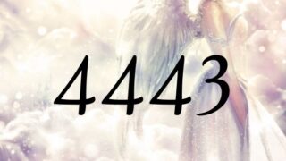 天使數字4443的意義是『大師和天使們正在幫助著您』