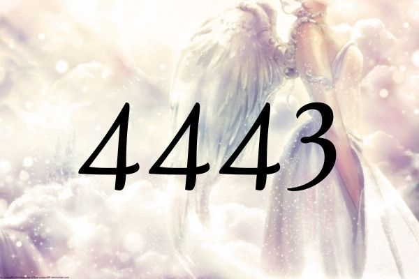 天使數字4443的意義是『大師和天使們正在幫助著您』