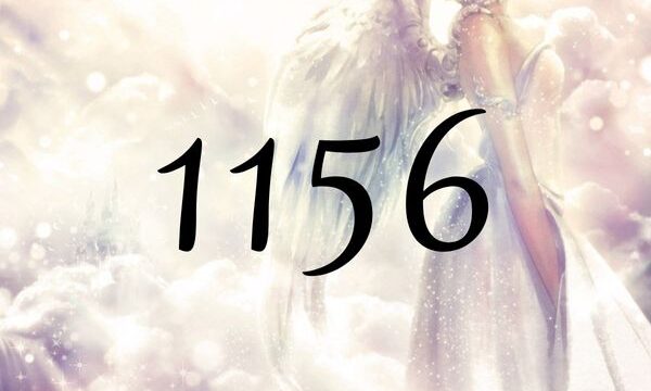 天使數字1156的含義是『遵從自己內心去往新的、、』