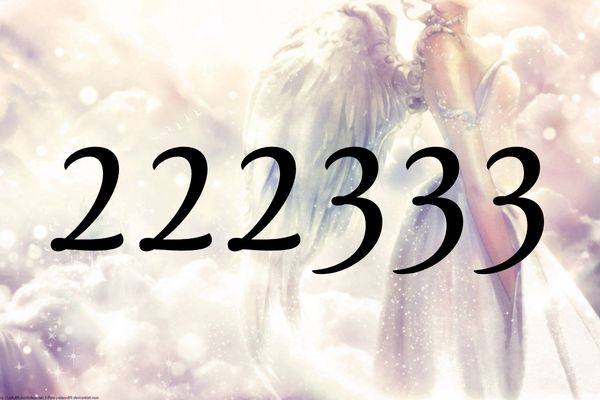 天使數字222333的含義是『大師們賜予了您力量』