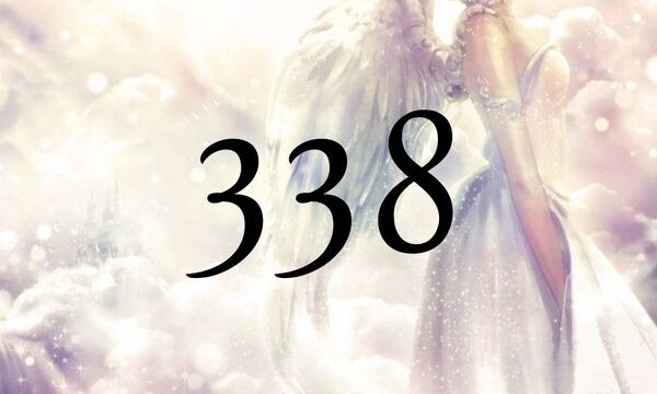 天使數字338的含義是『您的努力即將結出果實』