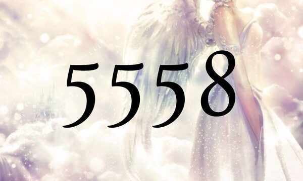 天使數字5558的含義是『您所期望的變化正在到來』