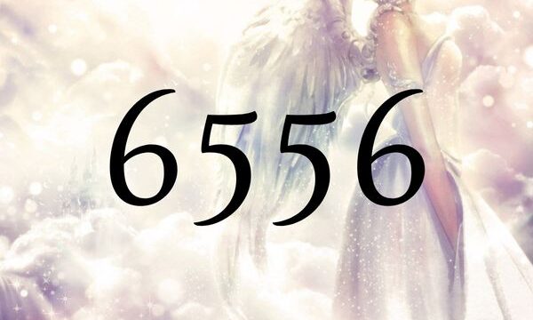 天使數字6556的含義是『請不要畏懼成為嶄新的自己』