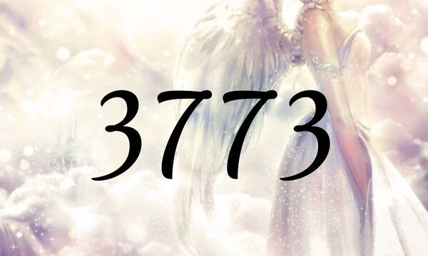 天使數字3773的含義是『您被來自大師的愛所引導著。』