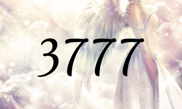 天使數字3777的含義是『您正在被大師正確地引導著』